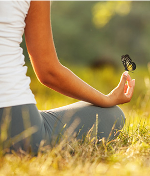 Ayurvedische producten in de aanbieding Ayurvedische producten in de aanbieding
