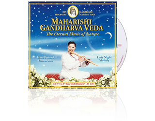 Hari Prasad Chaurasia (Bamboefluit) Zachtmoedigheid (1-4 uur), CD Hari Prasad Chaurasia (Bamboefluit) Zachtmoedigheid (1-4 uur), CD