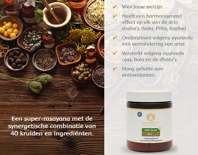 Dit zegt Ayurveda