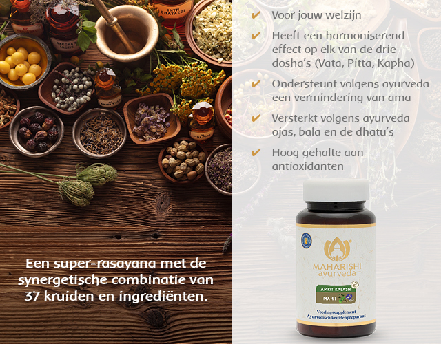 Dit zegt Ayurveda