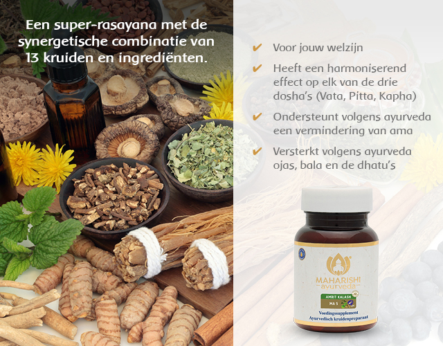 Dit zegt Ayurveda