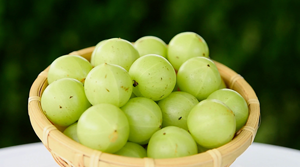 Amalaki fruit Amalaki fruit