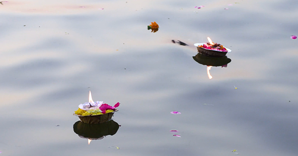 Brahmi lichtjes in het water