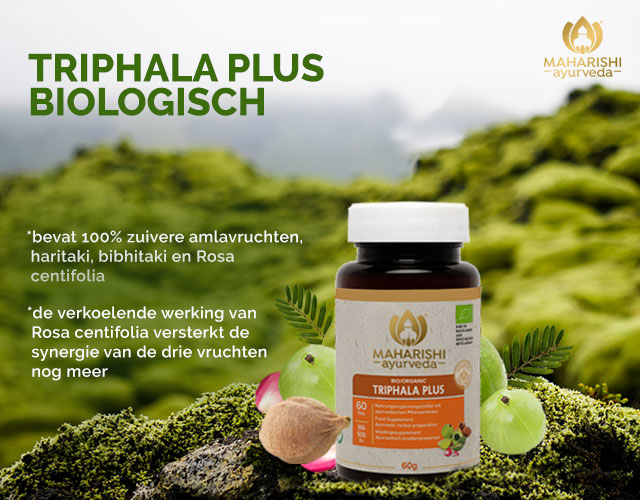 Informatie - Triphala Plus