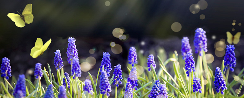 Voorjaarsschoonmaak in huis en tuin - waarom niet ook in het lichaam?