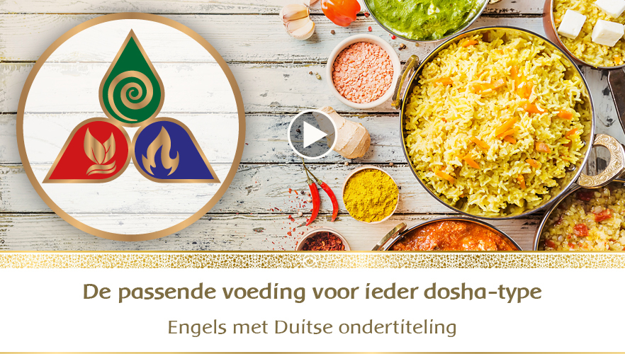 YouTube Webinar: De passende voeding voor ieder dosha-type