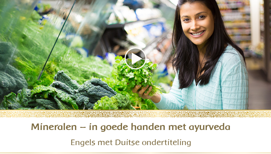 YouTube webinar: Mineralen – In goede handen bij Ayurveda