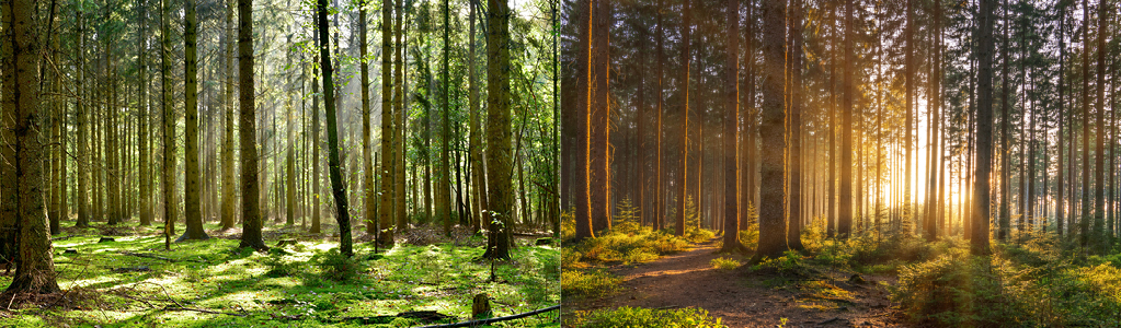 Voorjaar en herfst Voorjaar en herfst